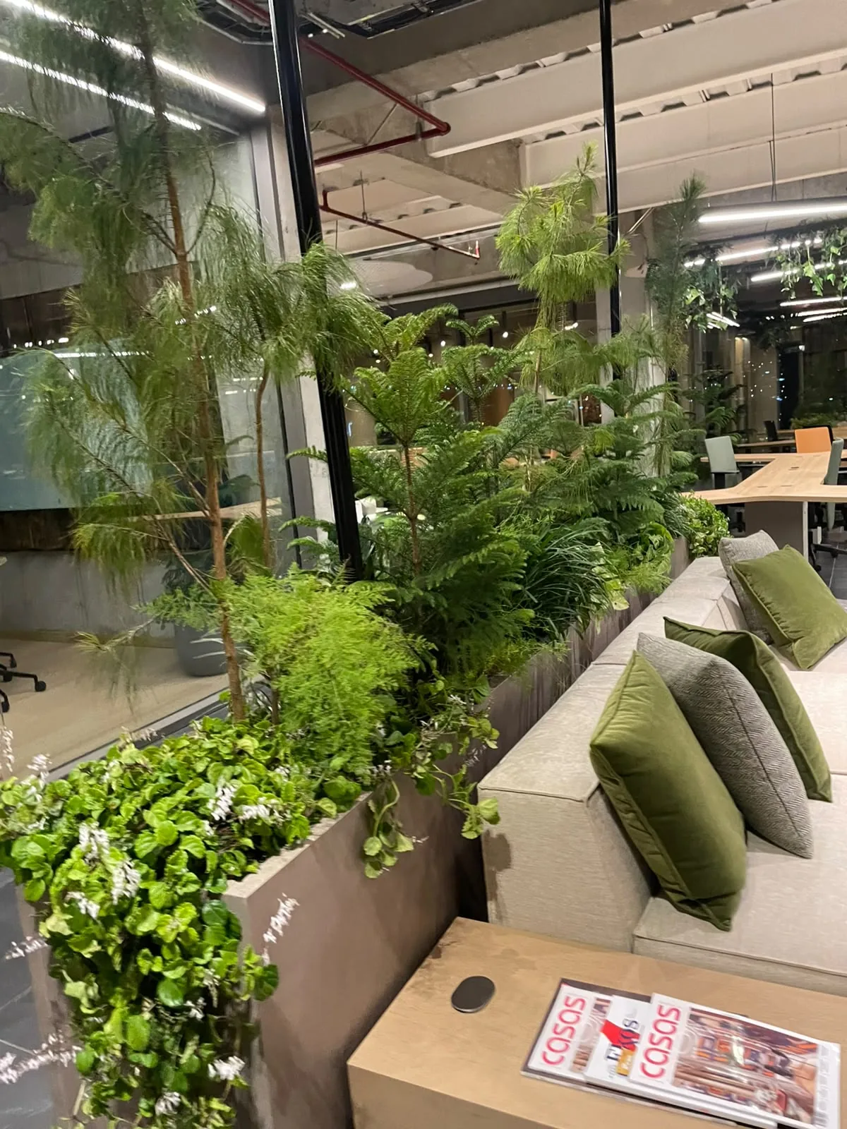 Proyecto VIP Lounge — proyecto de paisajismo en Quito