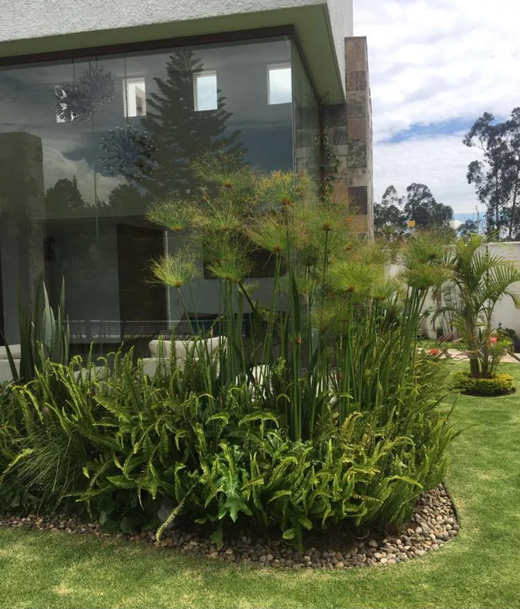 Casa Limonar — proyecto de paisajismo en Los Chillos