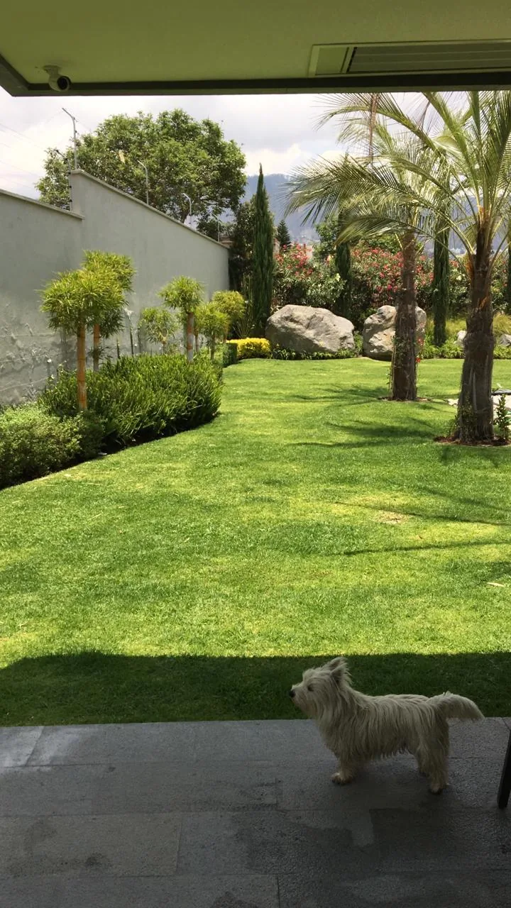 Patio Arrayanes — proyecto de paisajismo en Quito
