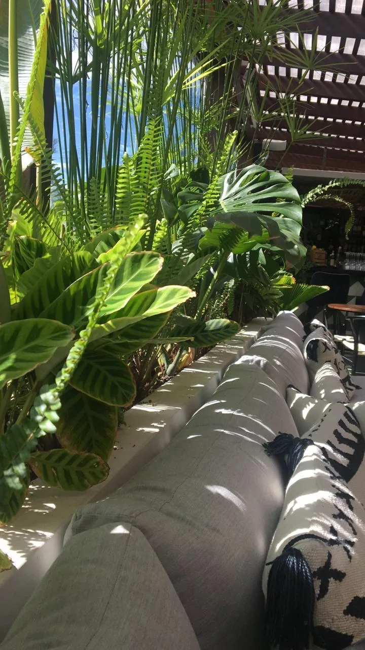 Proyecto R — proyecto de paisajismo en La Floresta
